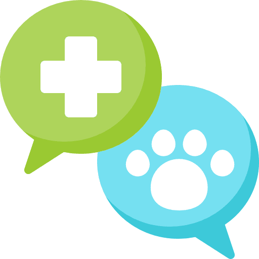 Veterinary animals cat animal icon