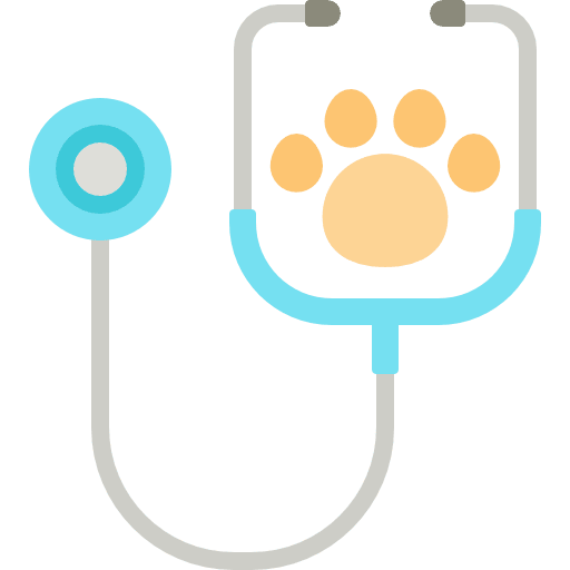 Stethoscope medical pet phonendoscope icon