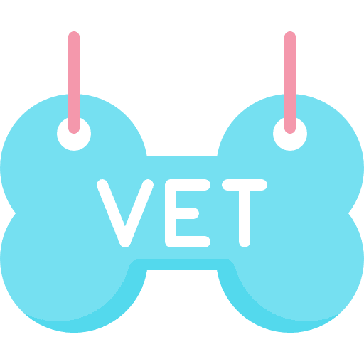 Bone bones healthcare and medical pet icon