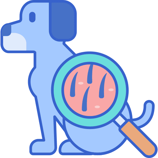 Dermatology dog skincare checkup icon