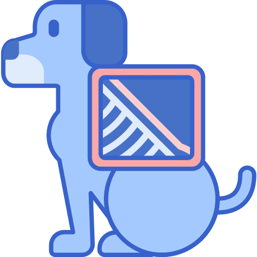 Dog assistance bones healthcare icon