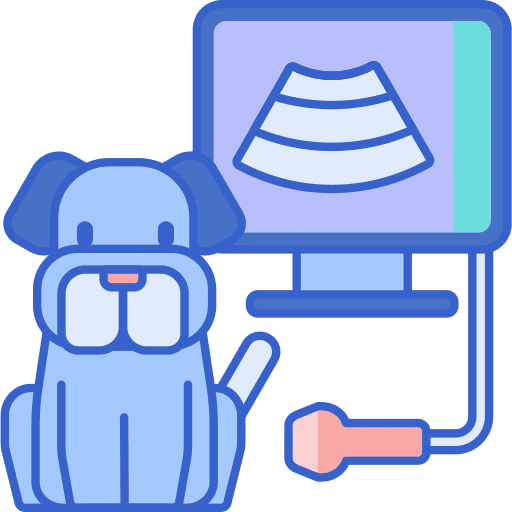 Ultrasound veterinarian technology animals icon