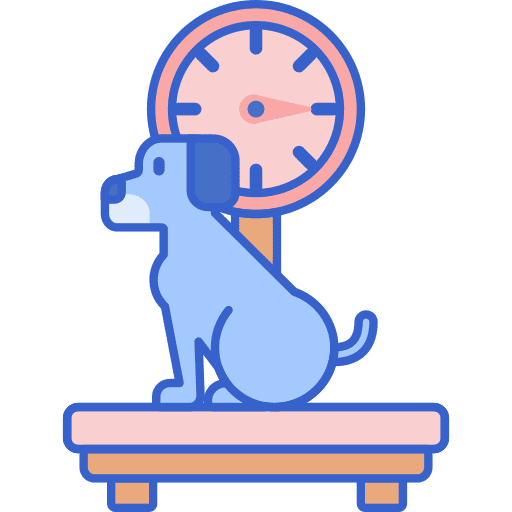 Scale weight scale scale weighing scale icon