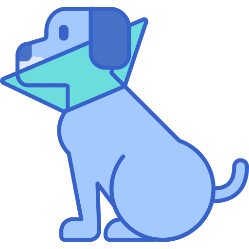 Cone of shame cone of shame healthcare and medical veterinarian icon
