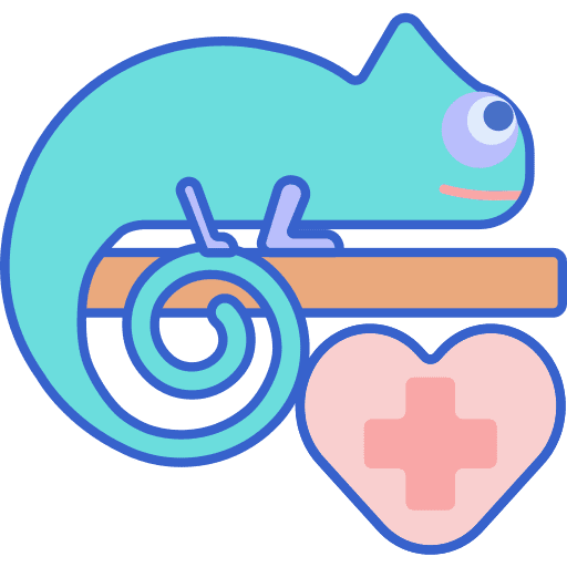 Exotic pets animals medical assistance animal kingdom icon