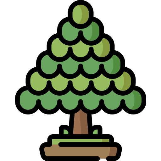 Cedar garden botanic nature icon