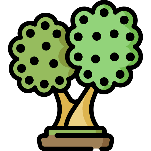 Olive tree nature botanic icon