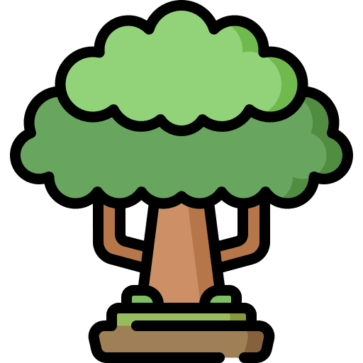 Sycamore tree nature botanic icon