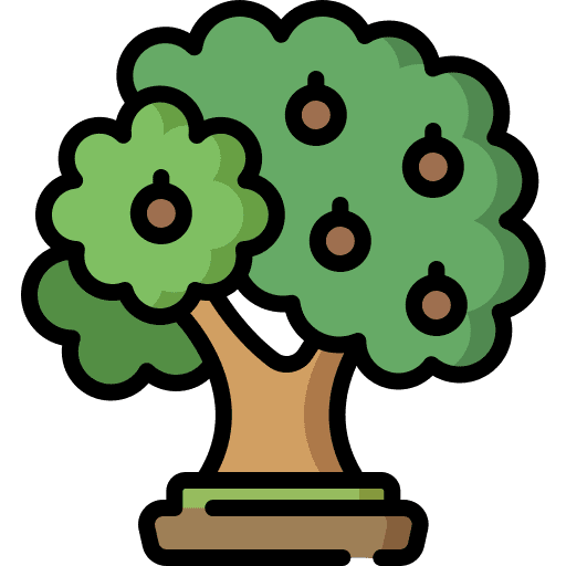 Walnut forest walnut tree icon