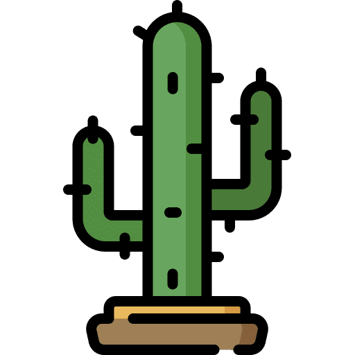 Cactus desert botanic forest icon