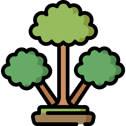 Cinnamon tree forest tree cinnamon tree icon