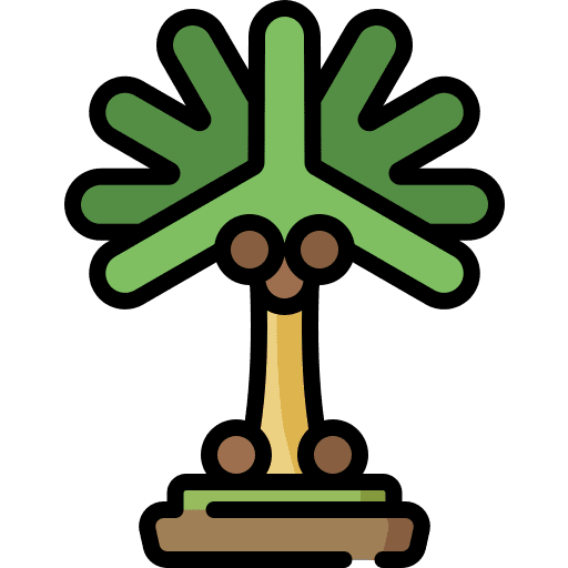 Coconut tree forest coconut tree botanic icon