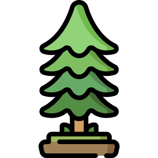 Fir garden botanic tree icon