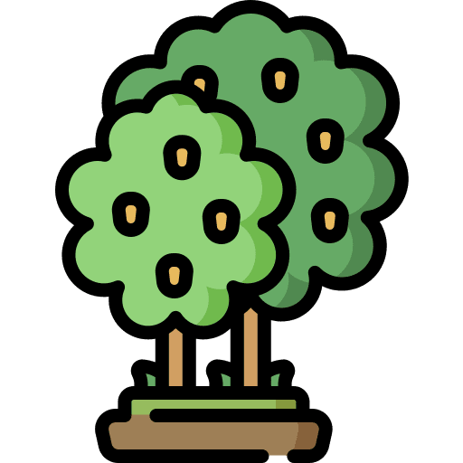 Lemon tree botanic garden tree icon
