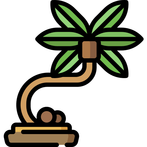 Palm tree forest palm tree garden icon