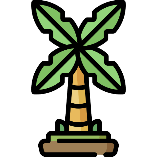Palm tree tree tropical forest icon