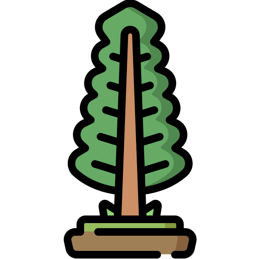 Pine botanic nature forest icon