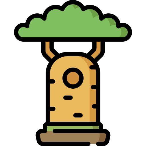 Baobab tree baobab nature icon