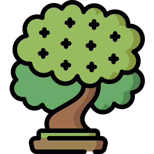 Beech nature tree beech icon