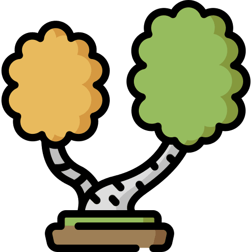 Birch birch tree garden icon