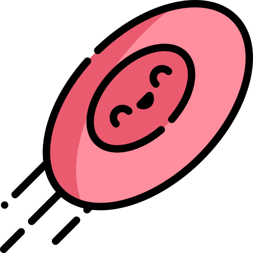 Frisbee frisbee dog animals icon