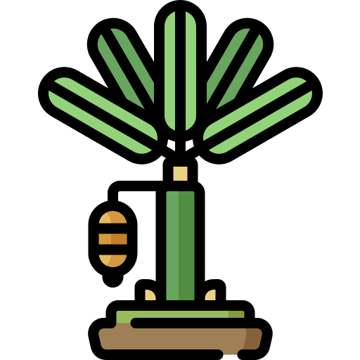 Tree nature forest botanic icon