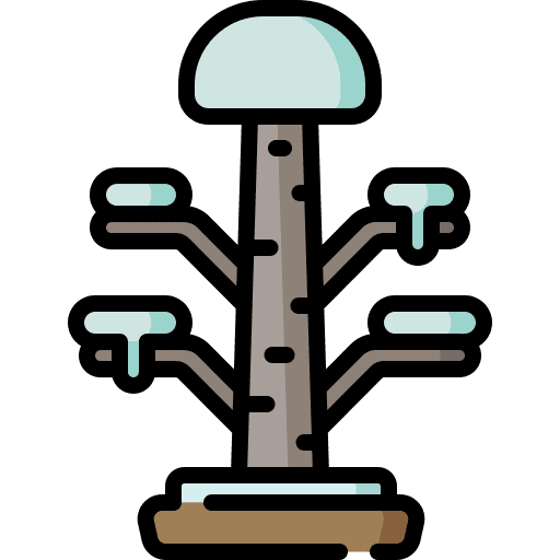 Tree tree forest botanic icon