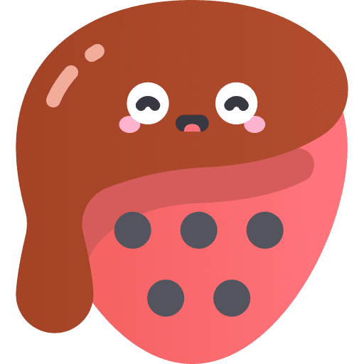 Strawberry fruit dessert food icon