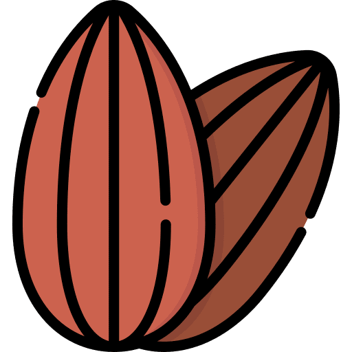 Almond gastronomy food and restaurant almond icon