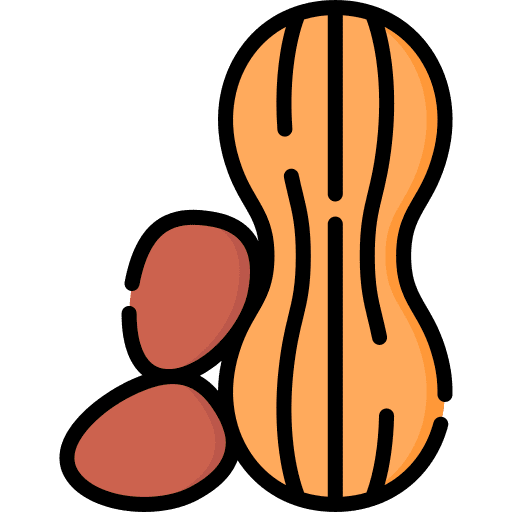 Peanut peanut food organic icon