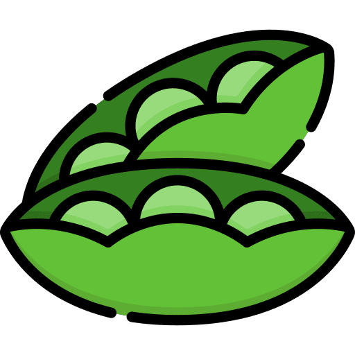 Peas vegetarian healthy food legume icon