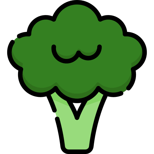 Broccoli food vegetables vegetarian icon