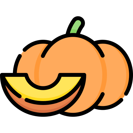 Pumpkin vegetarian diet organic icon