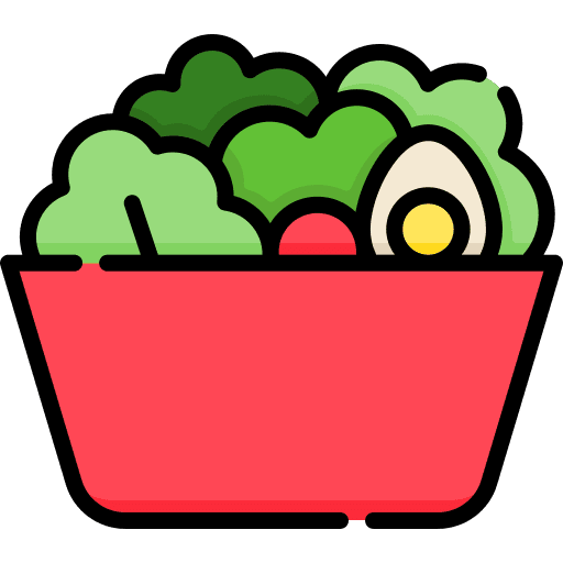 Salad vegan organic vegetarian icon