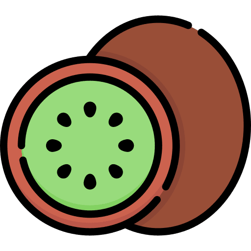 Kiwi vegan diet vegetarian icon