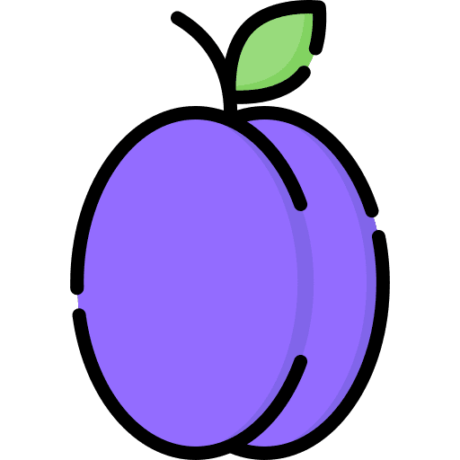 Plum food fruit vegan icon