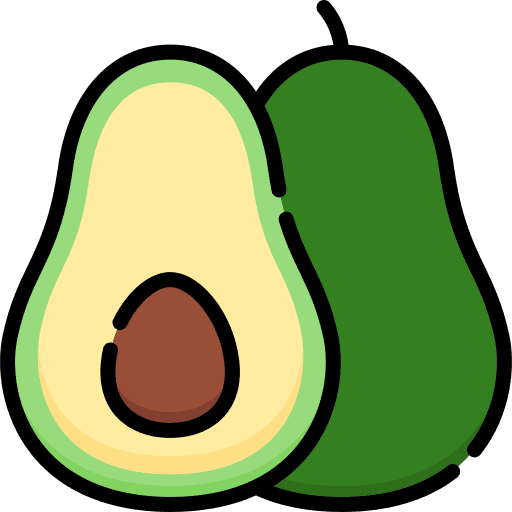 Avocado vegan fruit food icon