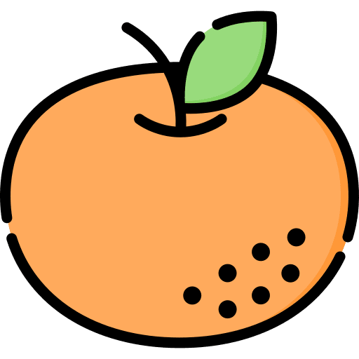 Orange fruit vegan organic icon