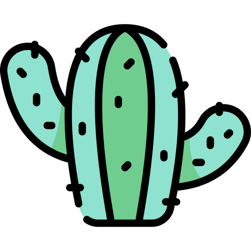Cactus cactus plant desert icon