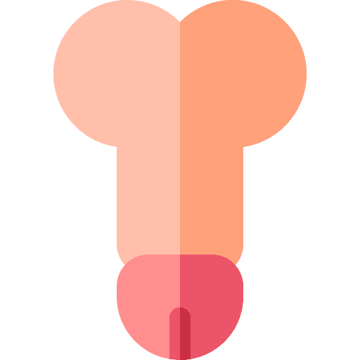 Penis anatomy medical reproductive system icon