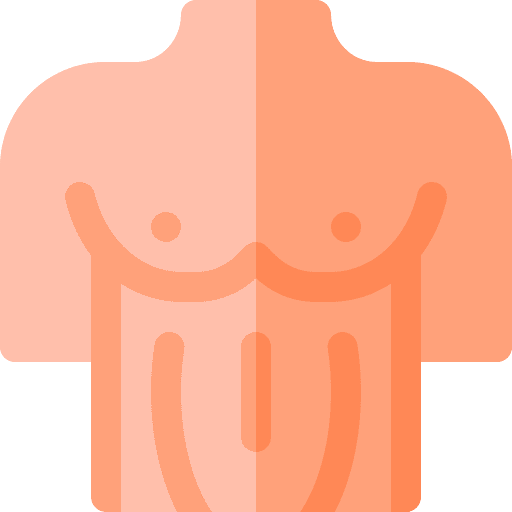 Chest chest human body body icon