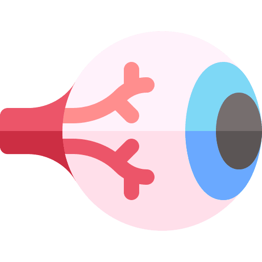 Eye balls organ body parts eye balls icon