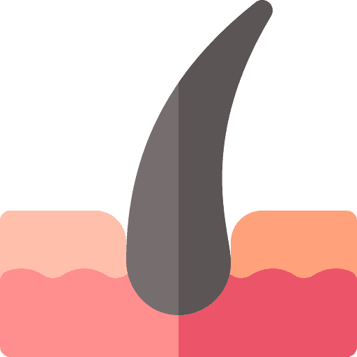 Hair dermatology dermathology hair icon