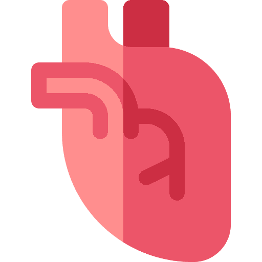 Heart body parts hospital medical icon