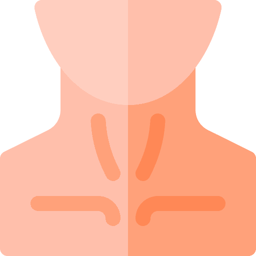 Human parts neck anatomy icon