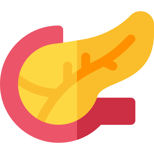 Pancreas pancreas anatomy healthcare and medical icon