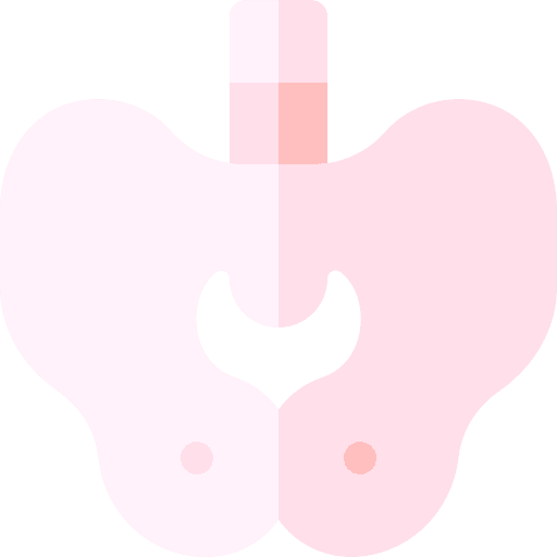 Pelvis pelvic bone human body pelvis icon