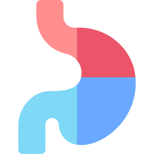 Stomach healthcare and medical abdomen organ icon