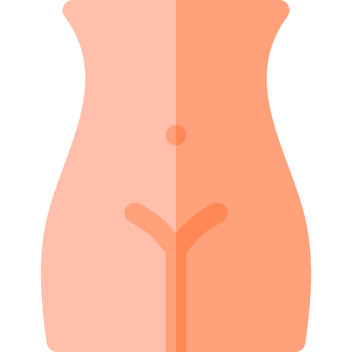 Vagina female healthcare and medical vagina icon