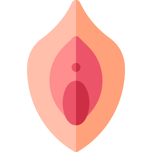 Vagina medical reproductive system female organs icon